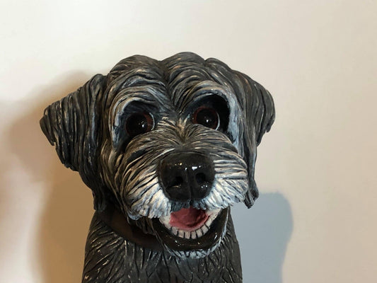 Pet Commission