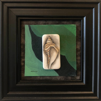 "Seashell 2"