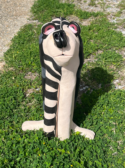 "Ziggy"